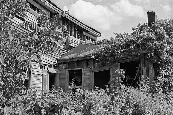 ruined farmhouse