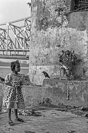 girl, crow & Durga image