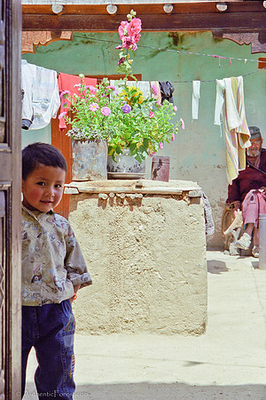 Ladakhi boy in doorway