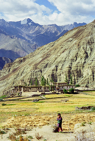 lone Ladakhi girl
