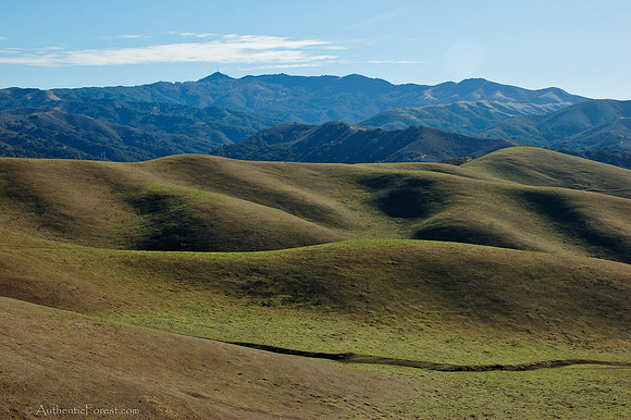 rolling hills, San Benito County