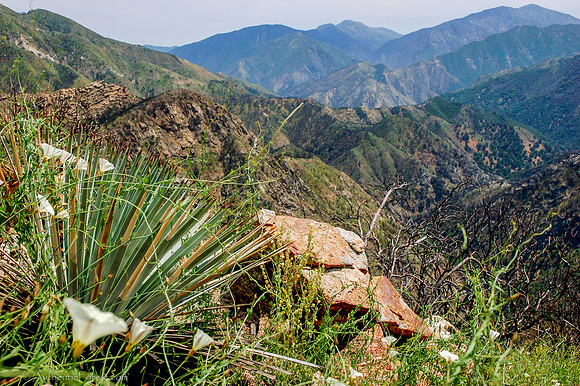 view from Hawk Mountain, with yucca