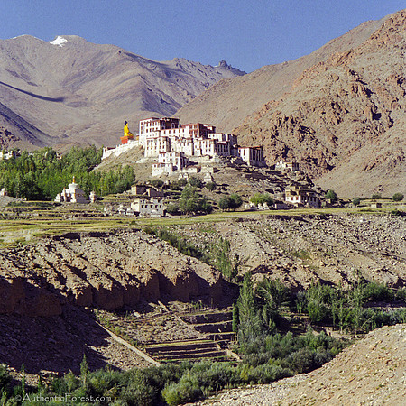 Likir gompa