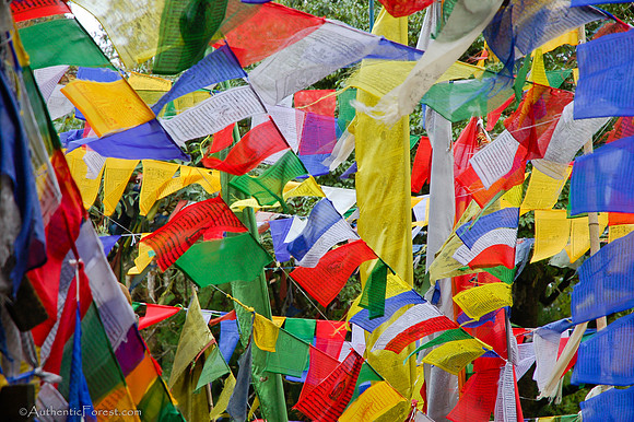 prayer flags at Mahakal Mandir