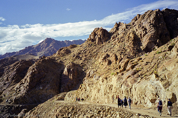 trekking in Ladakh